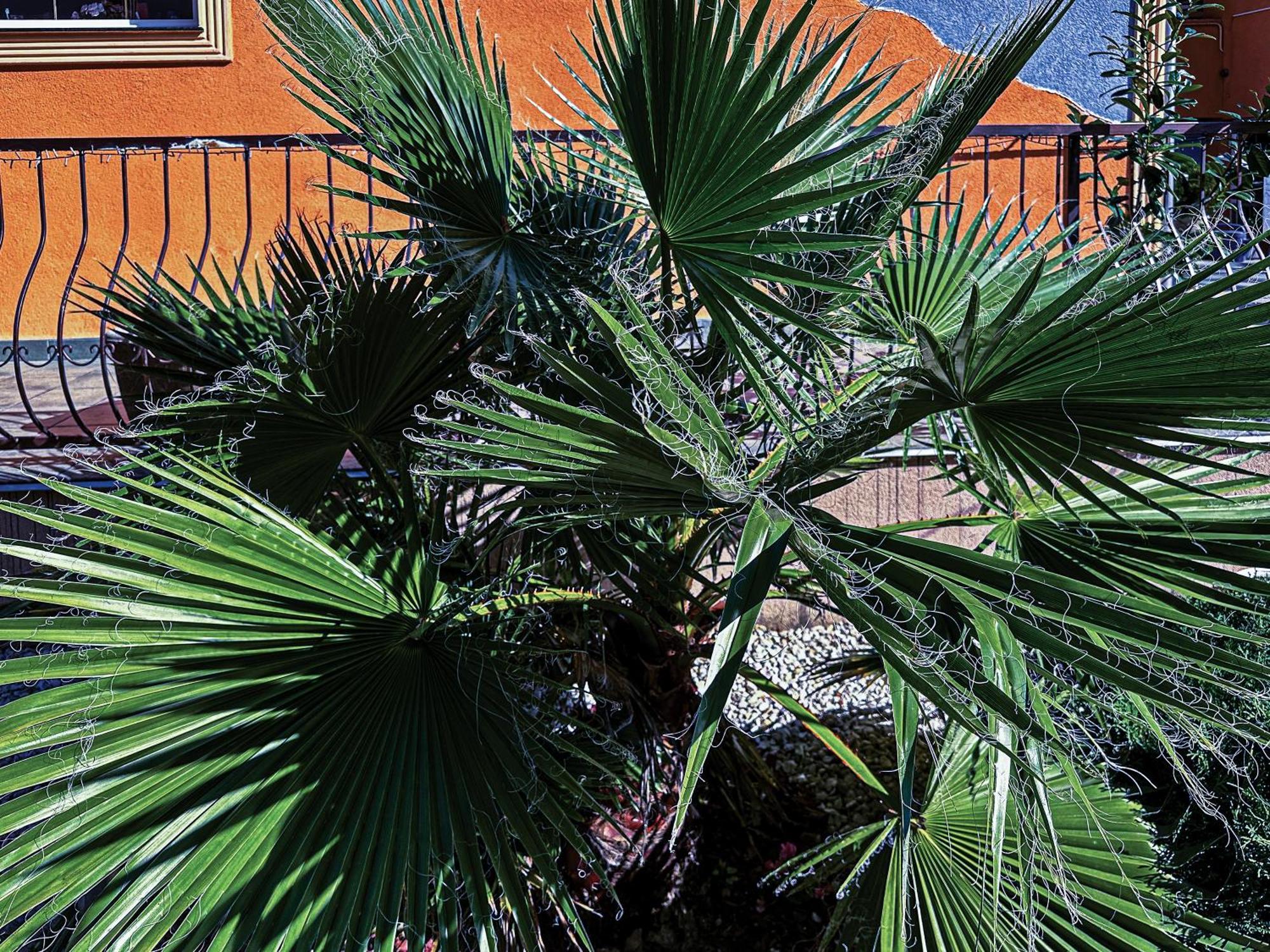 Vintiamo Apartmanok Egerszalók Buitenkant foto